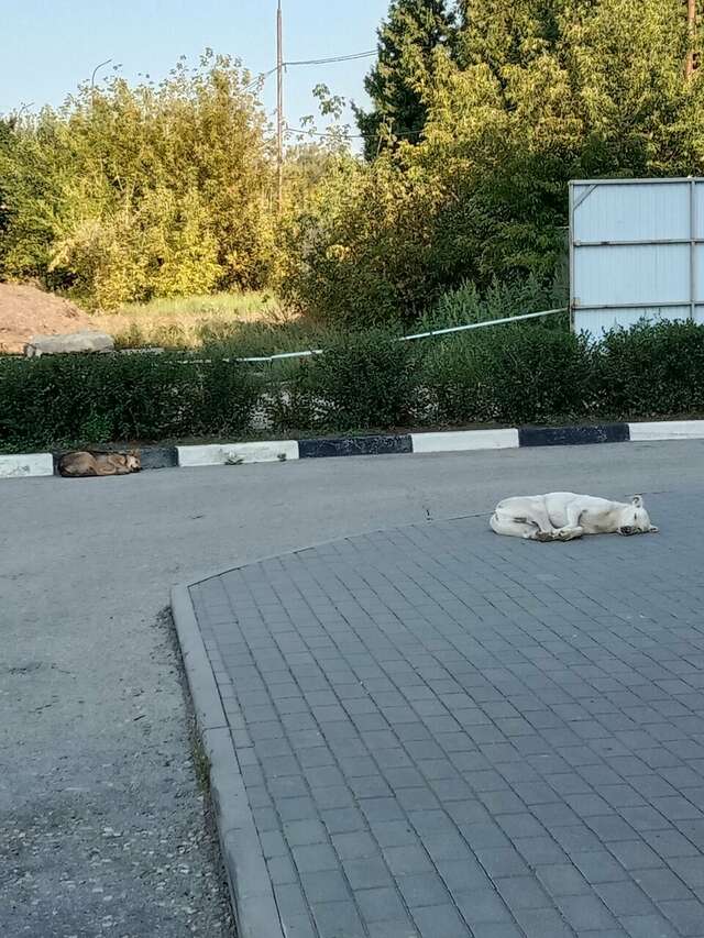 Гостиница Ажур Тамбов-212